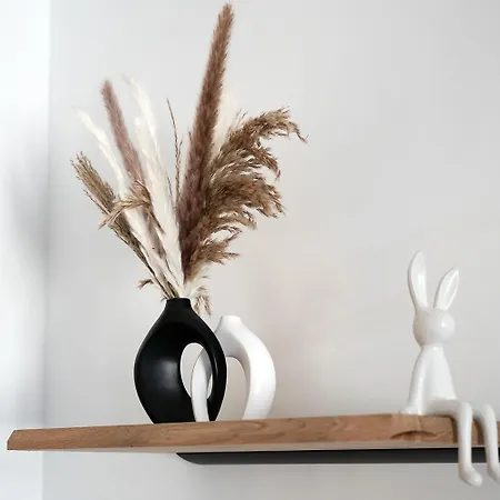 La Nuit Sous Les Etoiles 南锡